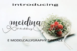 Meidina: A Script Handwritten Font for Creative Campaigns