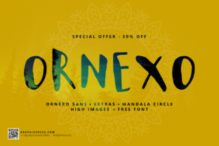 Ornexo: A Playful Script Handwritten Font for Creative Design