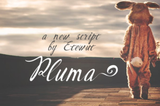 Pluma: A Script Handwritten Font That Breathes Life into Every Design